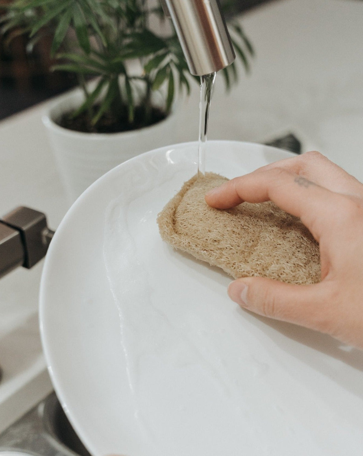 Zero Waste MVMT natural loofah sponges, pack of three, alternate view
