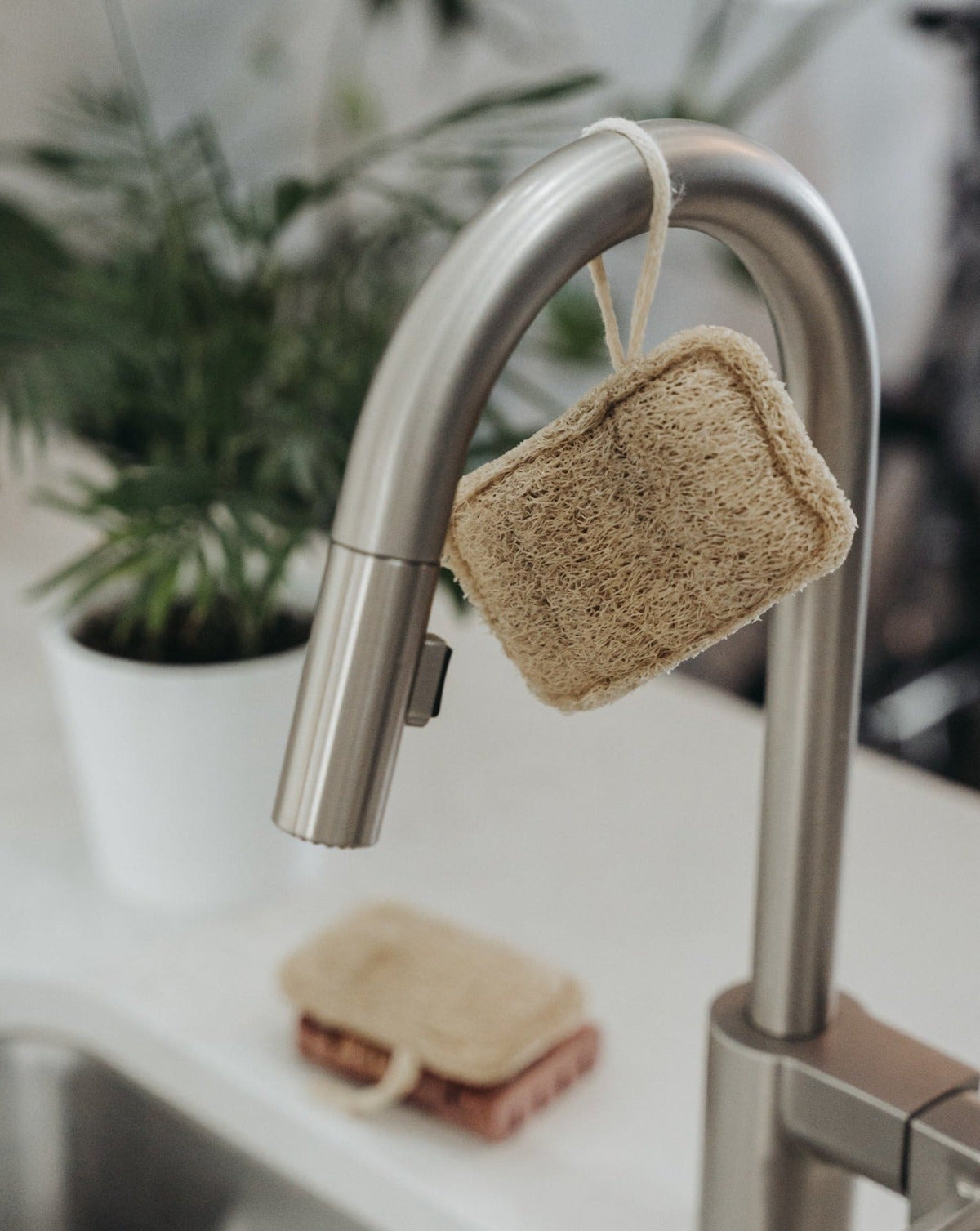 Zero Waste MVMT natural loofah sponges, pack of three, alternate view