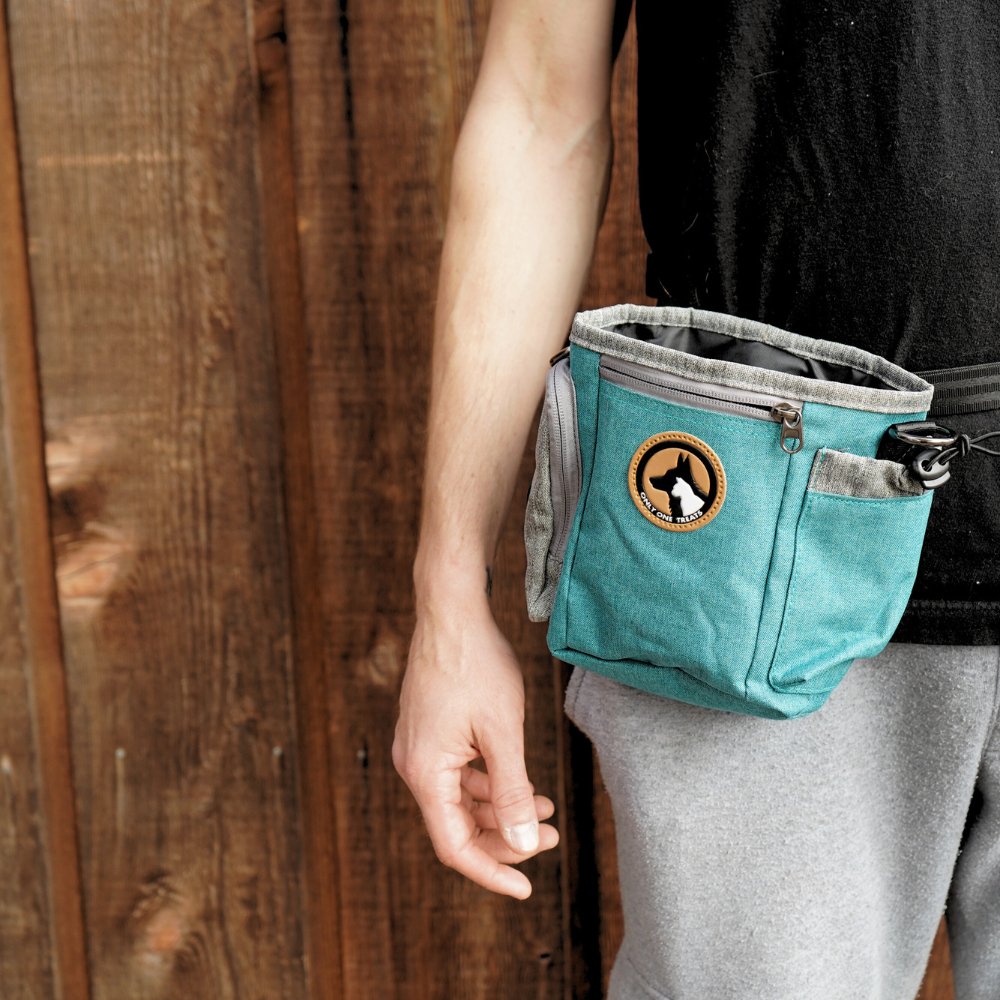 Only One Treats large teal dog treat training pouch, alternate view