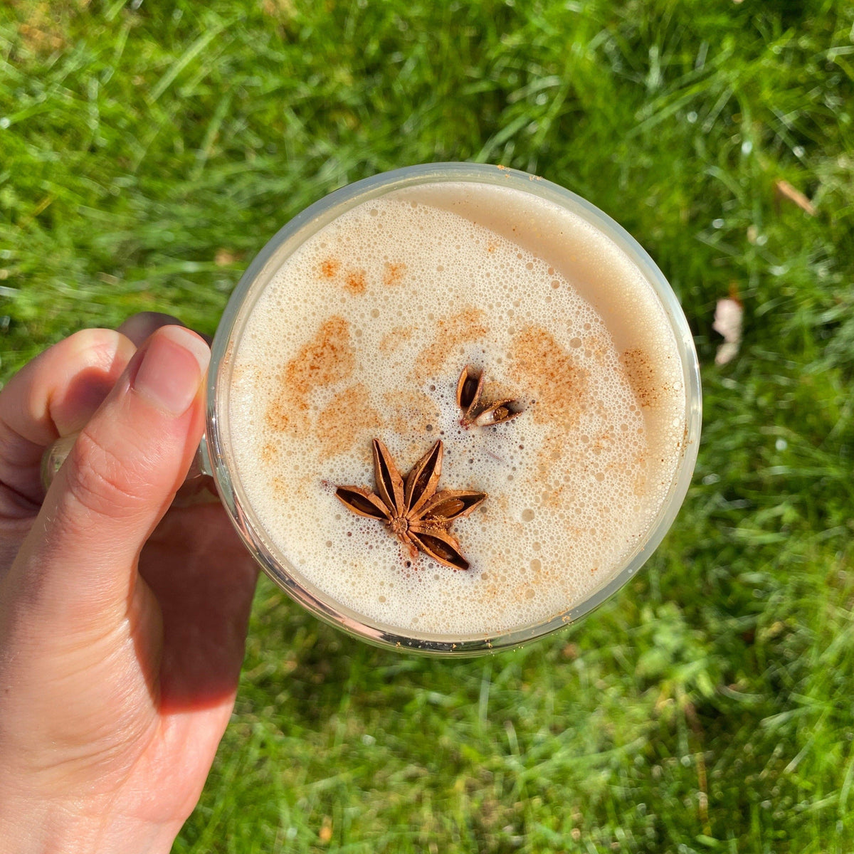 Tease Aim Chai wellness tea, alternate view