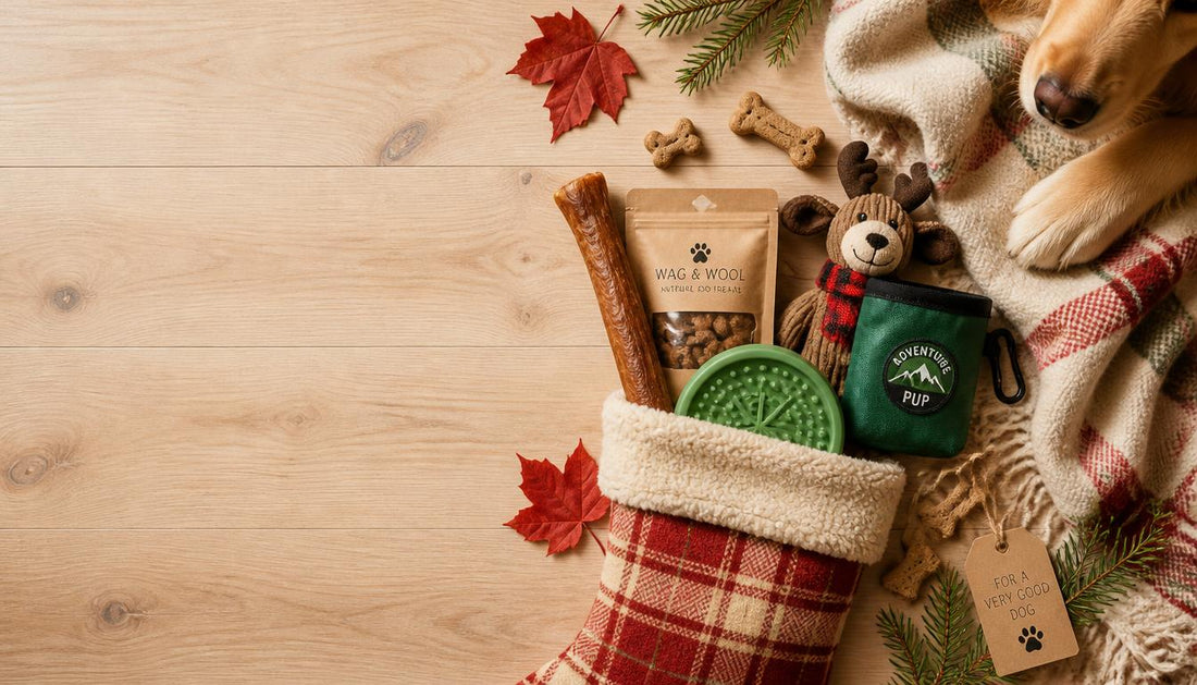 Stocking Stuffers for Dog Lovers: The 2026 Gift Guide