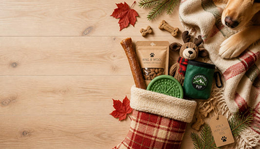 Stocking Stuffers for Dog Lovers: The 2026 Gift Guide