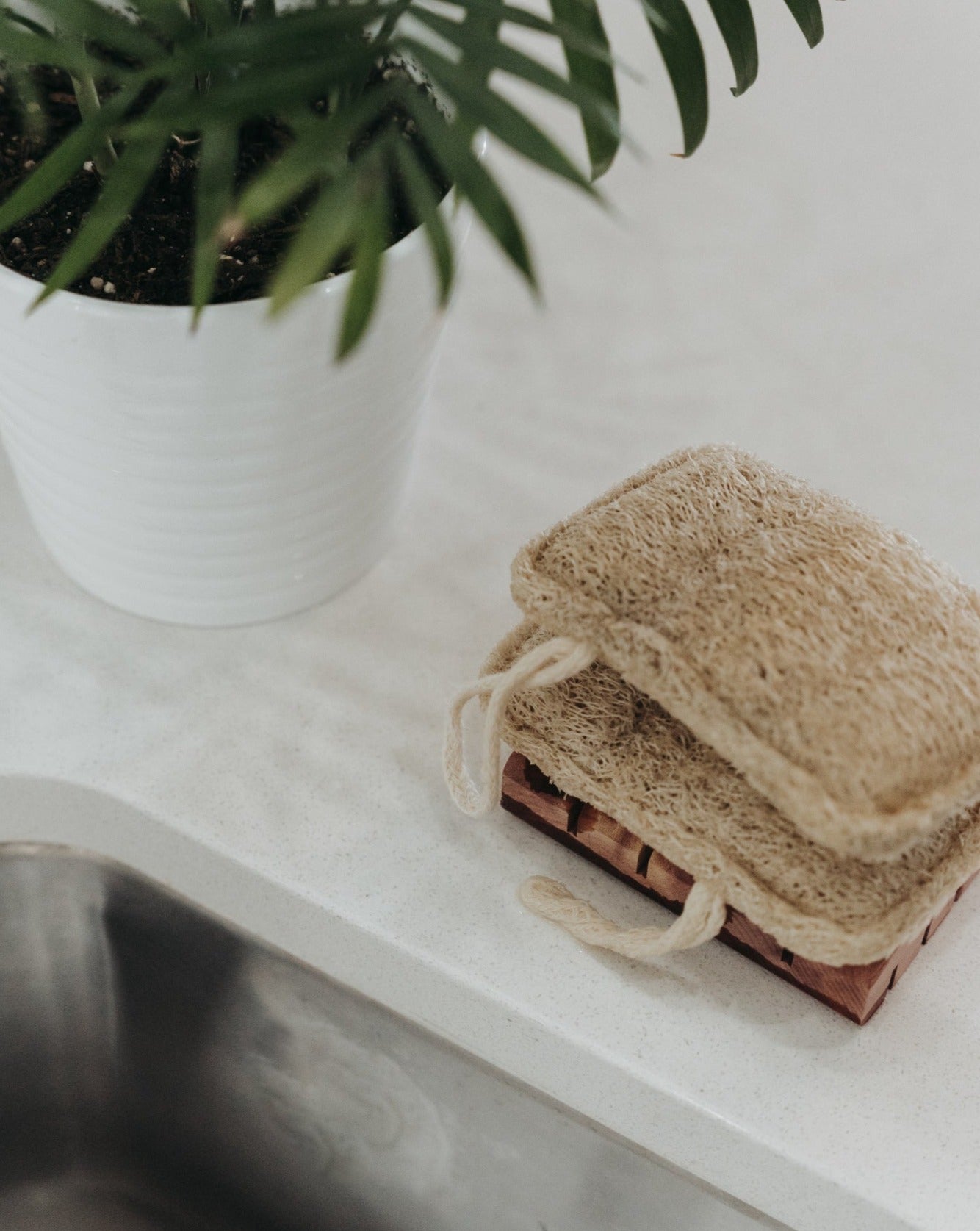 3 Pack Natural Loofah Sponge
