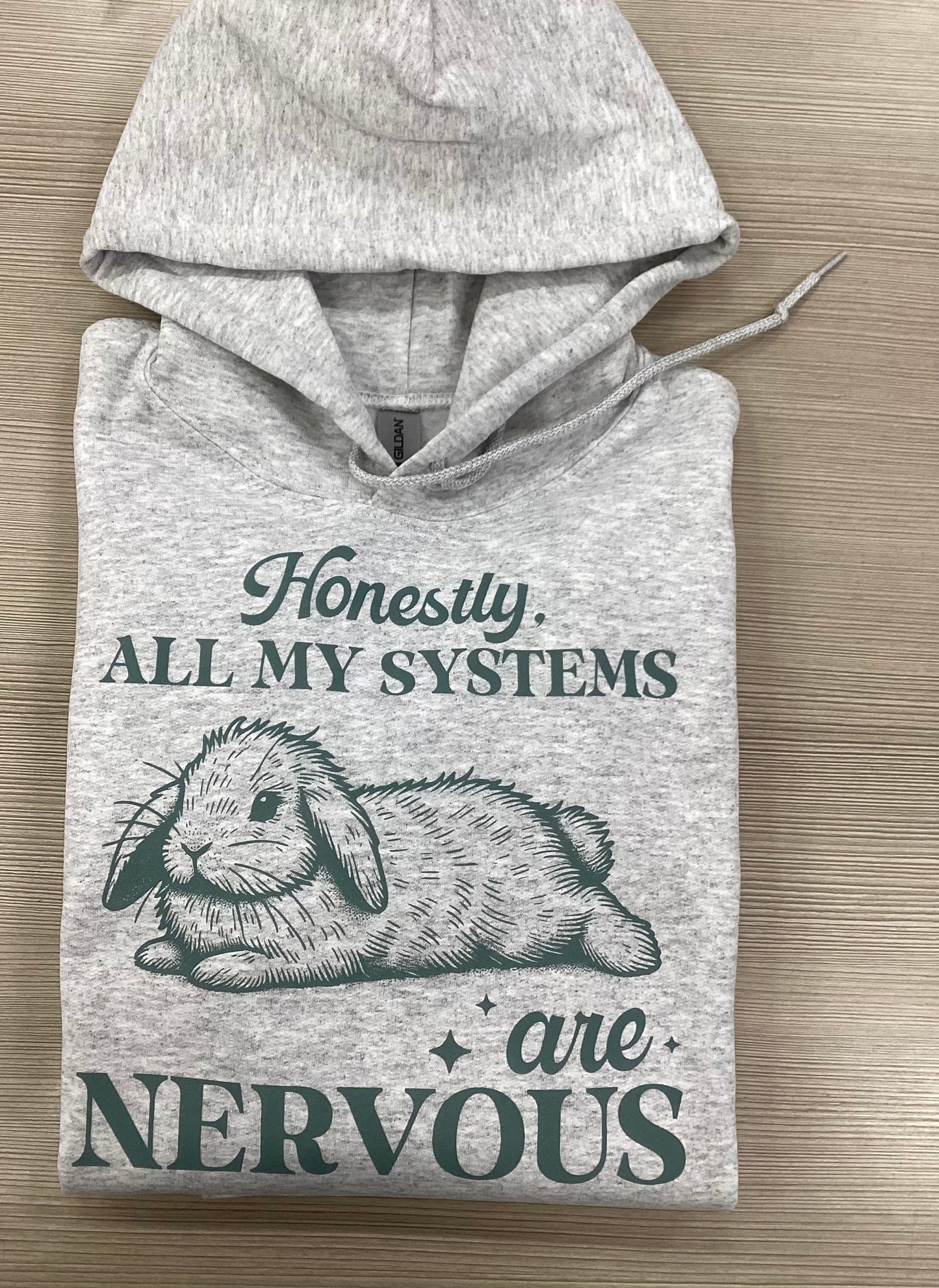 Honestly, All My Systems Are Nervous Bunny Hoodie